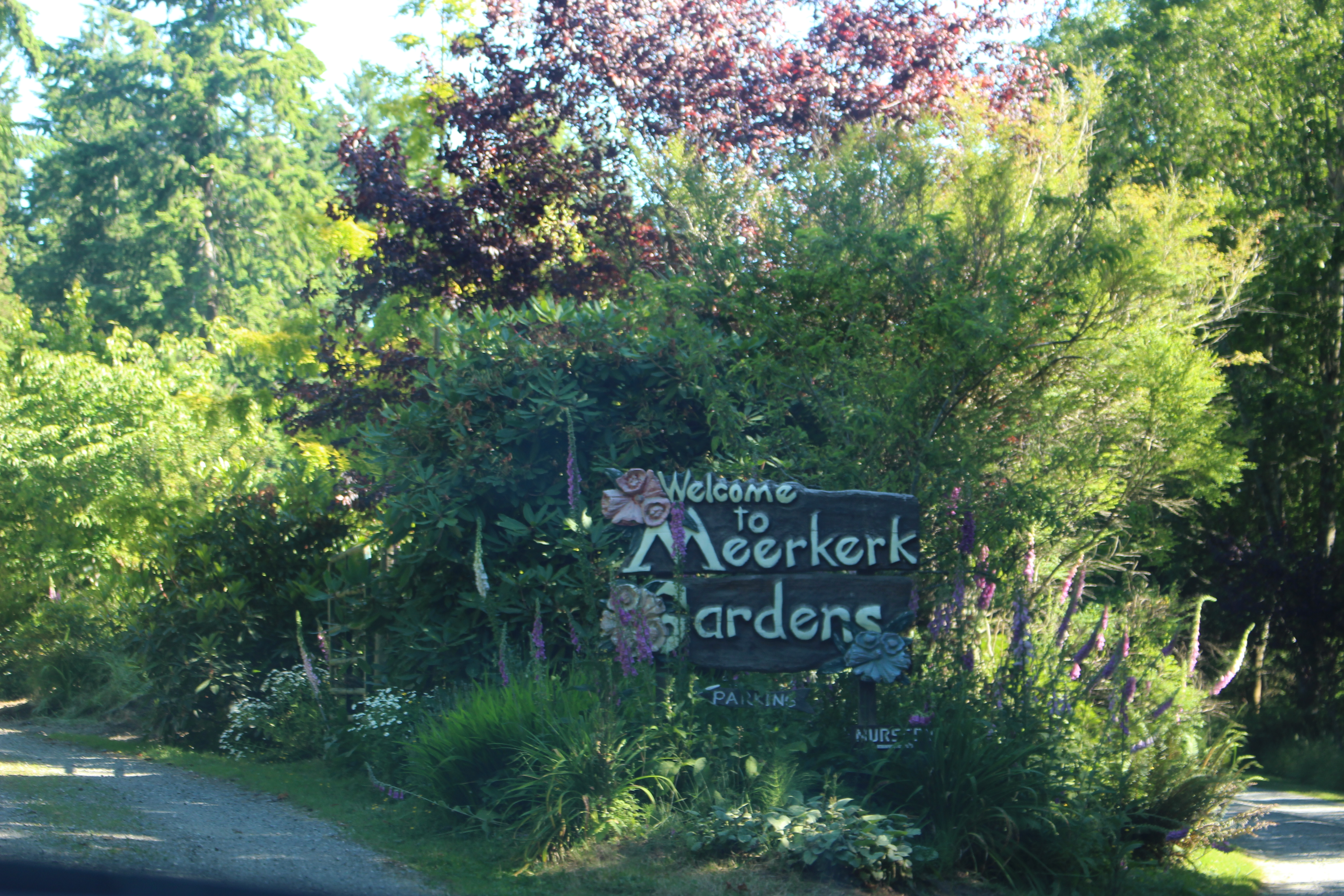 meerkerk_1