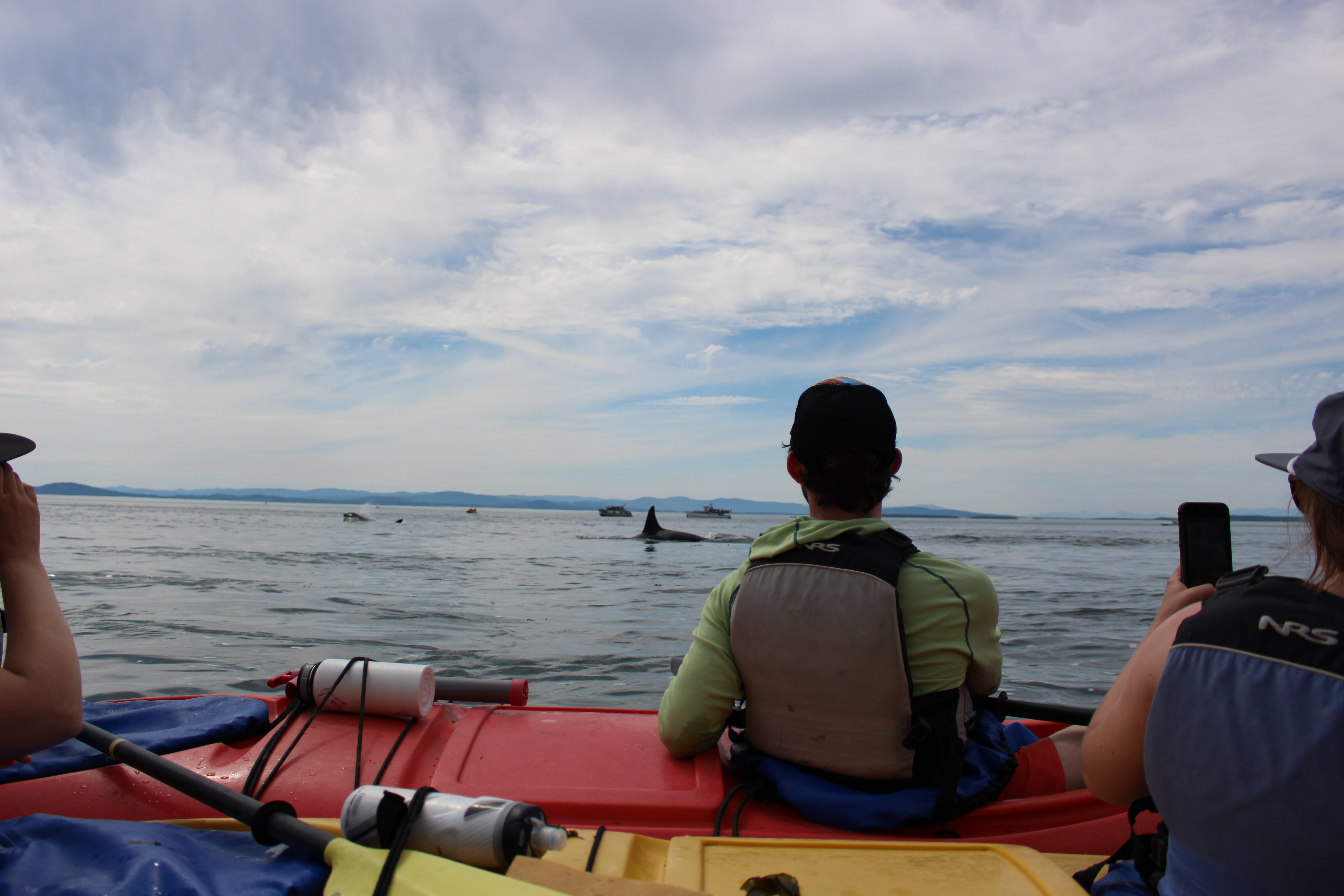orca_kayak.JPG